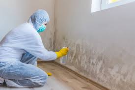 Best Mold Documentation for Insurance Claims  in The Woodlands, TX